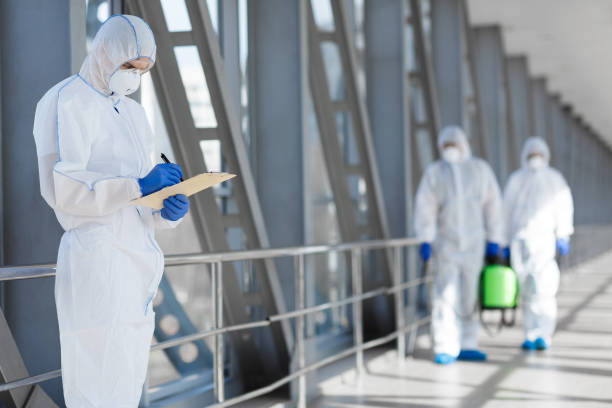 Best Mold Removal for HVAC Installations  in Kalifornsky, AK