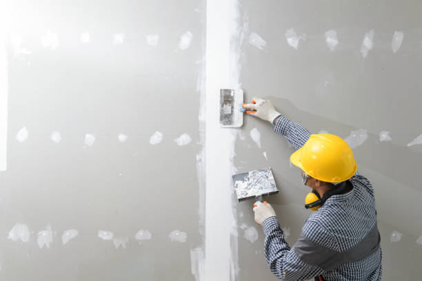 Best Basement Mold Removal  in Kalifornsky, AK