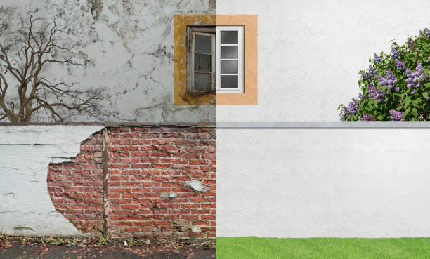 Best Environmental Consulting for Mold Prevention  in Kalifornsky, AK